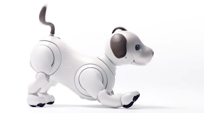 Sony Bangkitkan Lagi Robot Anjing Pintar nan Lucunya