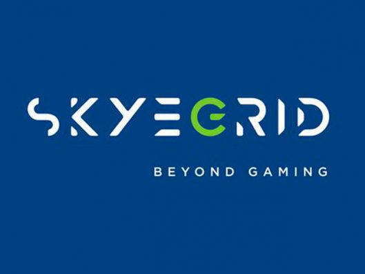 Skyegrid Siap Gandeng Para Developer Game Lokal