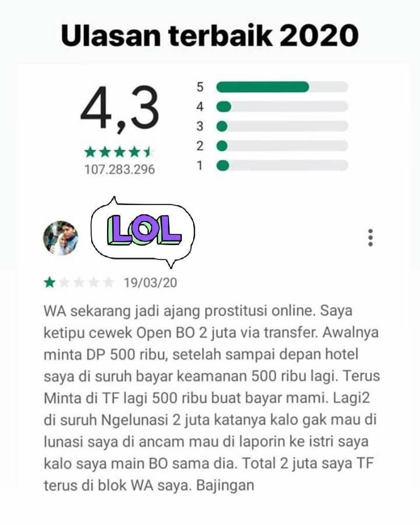 Tertipu Wanita BO, Cowok ini Curhat di Ulasan WhatsApp