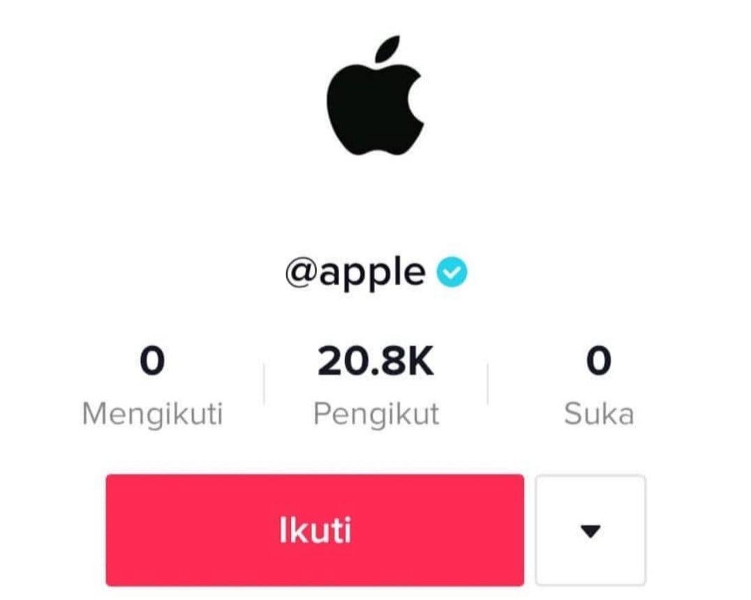 Punya Akun TikTok, Apple Mau 'Ngalay'?