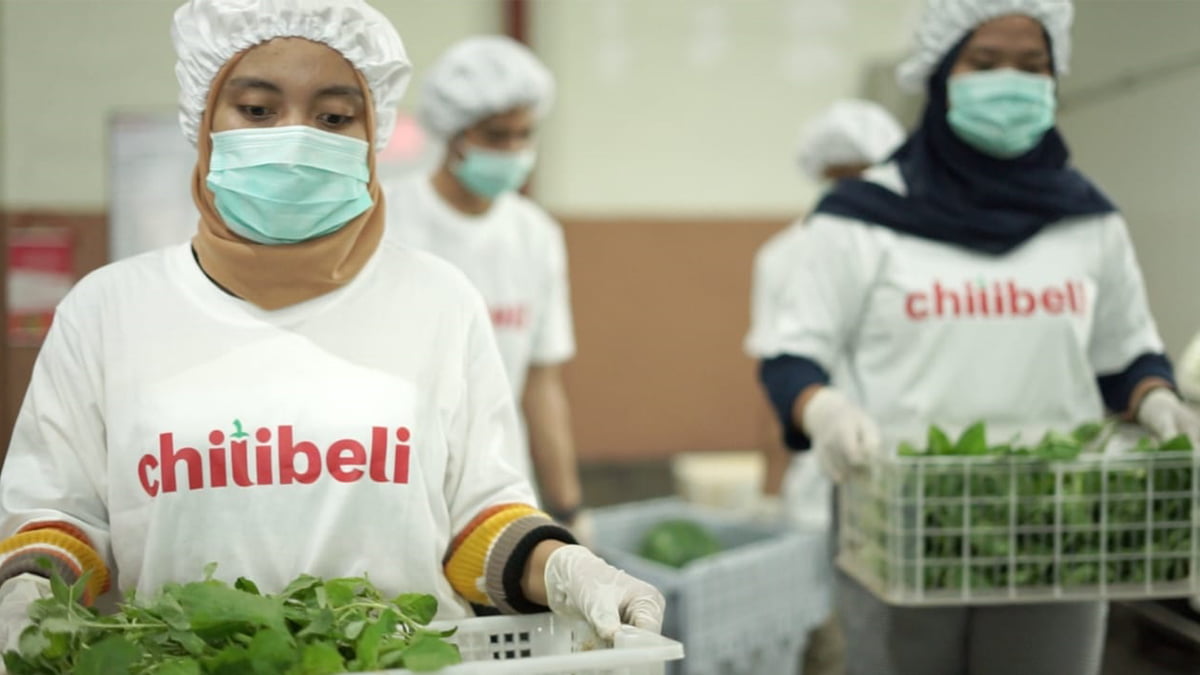 Chilibeli Gandeng Lazada Gerakkan Roda Ekonomi Peternak dan Petani Indonesia
