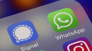 WhatsApp Down, Signal Malah Untung