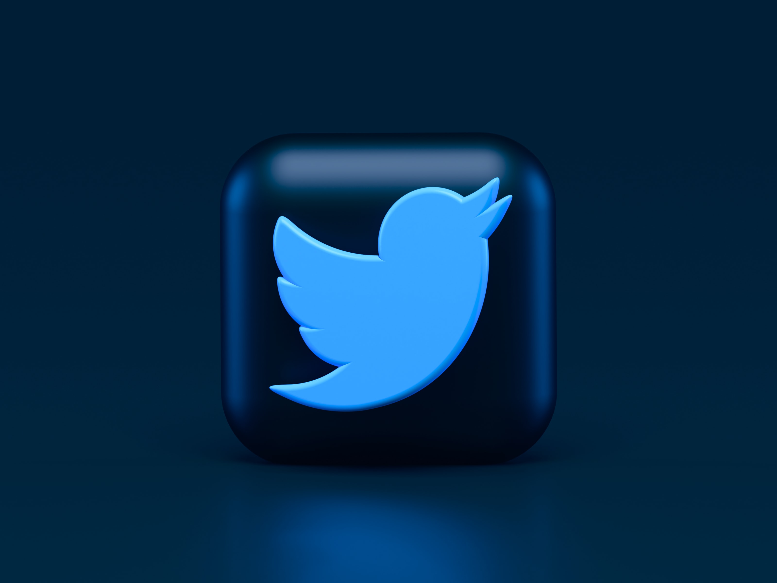 Twitter Perkenalkan Fitur Dual-Timeline View di Website