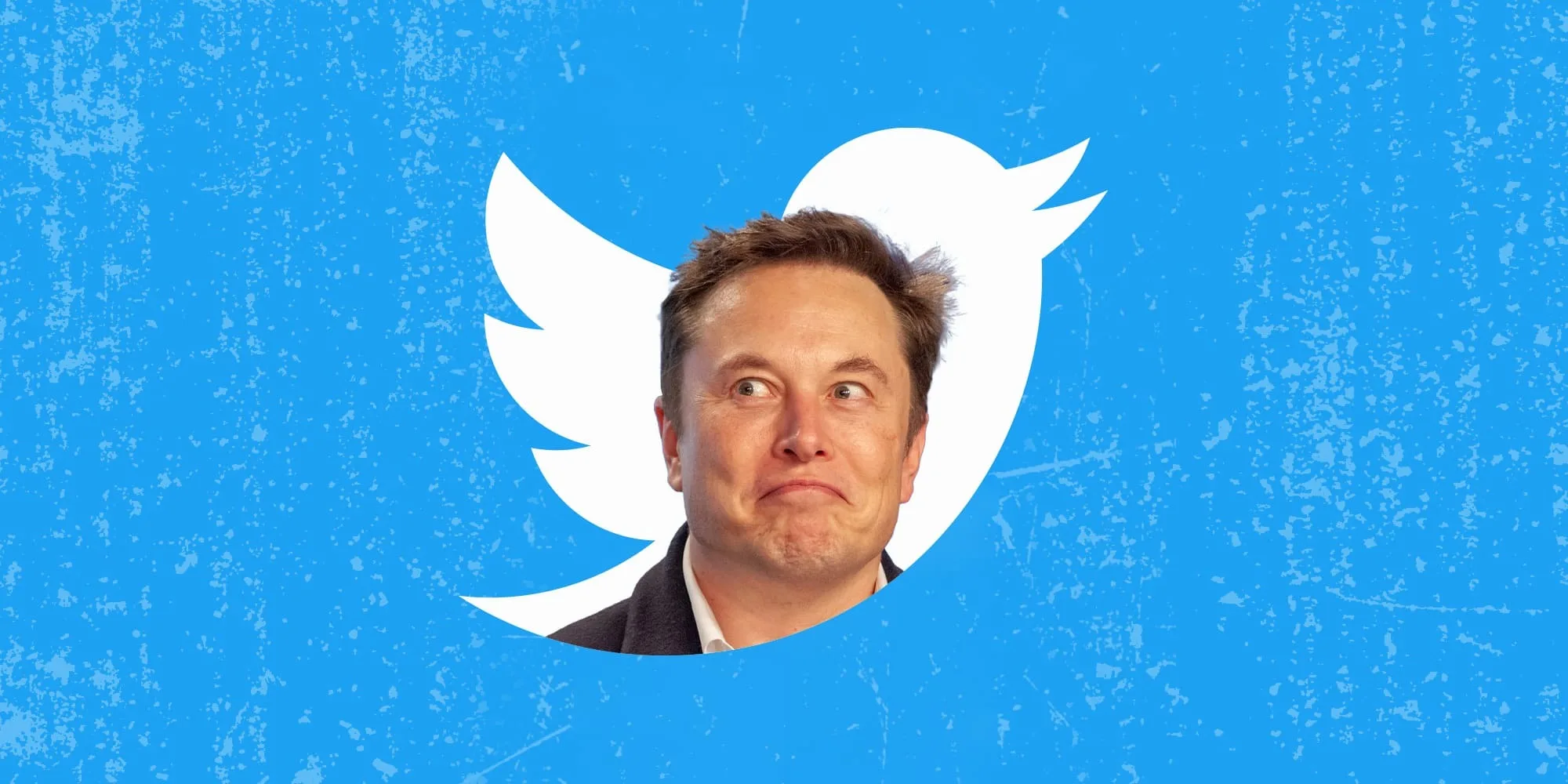 Elon Musk Tunjuk CEO Baru Twitter