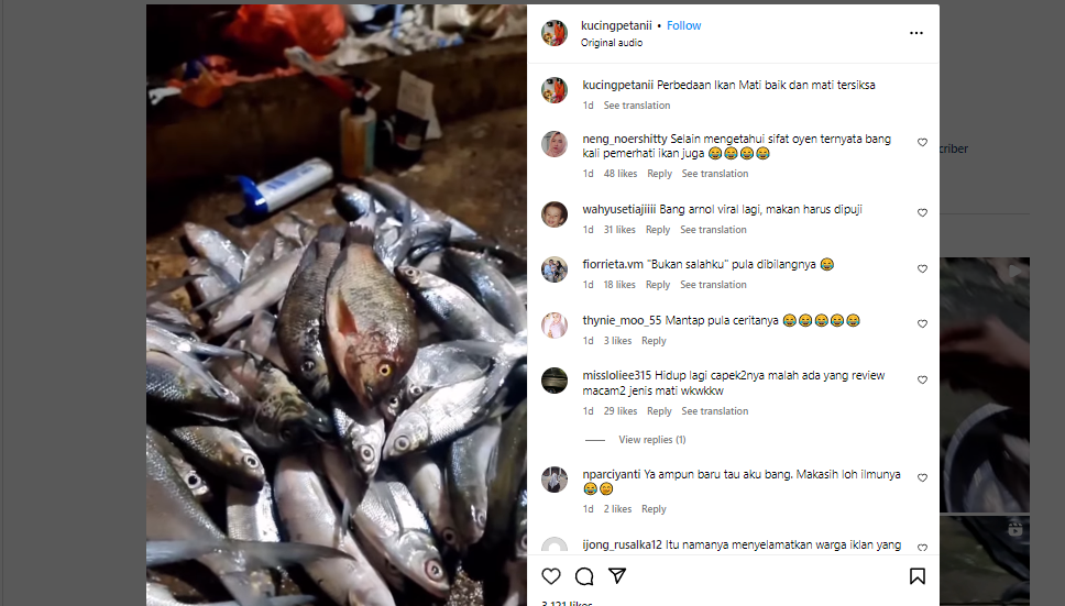 Viral Video Pria Review Cara Mati Ikan Bikin Netizen Ngakak