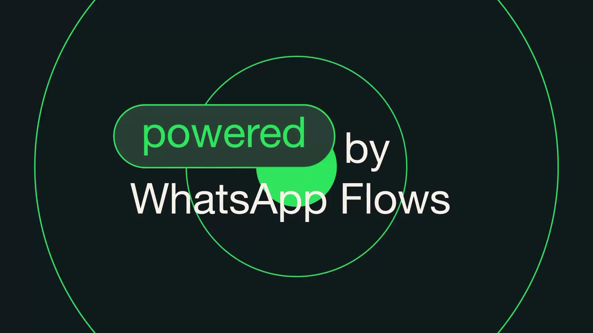 WhatsApp Flow, Sensasi Berbelanja Sambil Chatingan