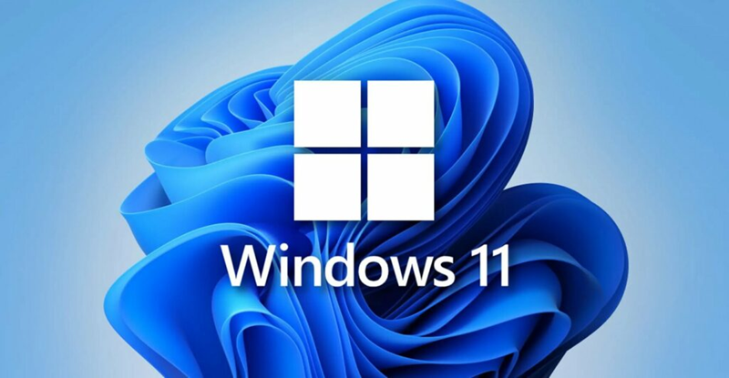 Ini Alasan Microsoft Hentikan Update Windows 11 di PC